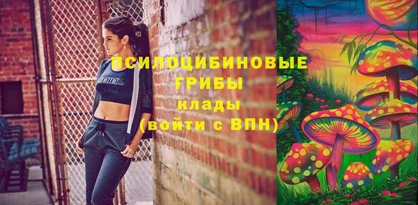стафф Богданович