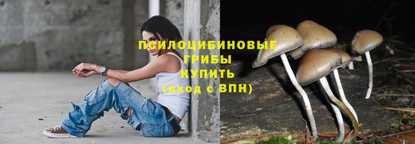 марки lsd Богородицк