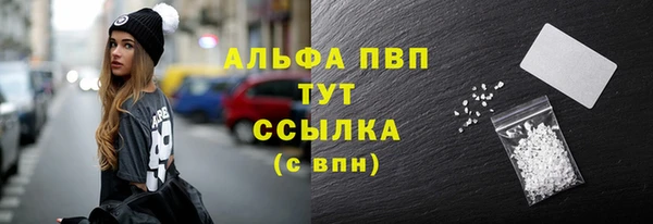 стафф Богданович