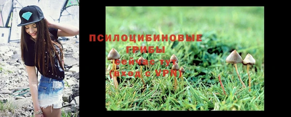 стафф Богданович
