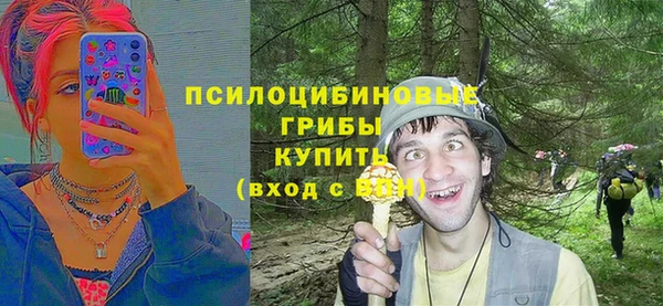 прущие крисы Богородск