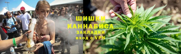 стафф Богданович