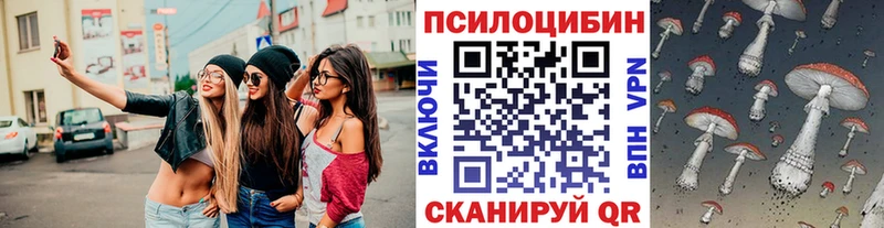 Галлюциногенные грибы Psilocybe  магазин  наркотиков  сайты даркнета наркотические препараты  Торопец 